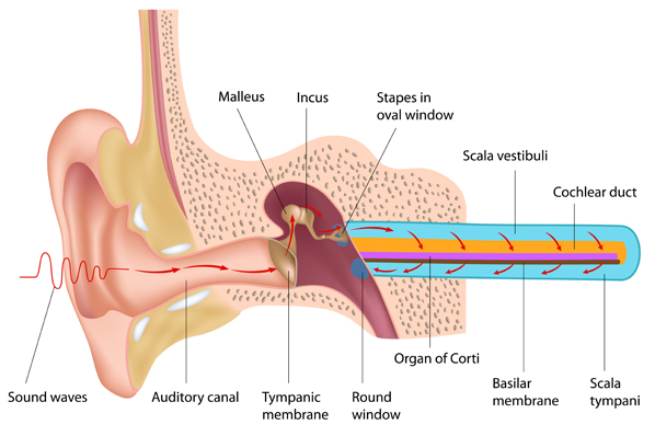 6 Deadly Hearing Problems… Do You Have Any?