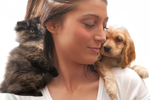 Are You A Dog Person or A Cat Person?